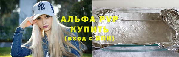 крисы Новодвинск