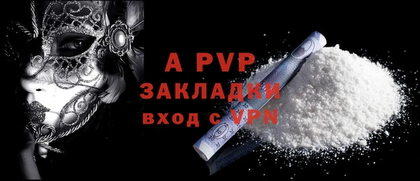 крисы Новодвинск