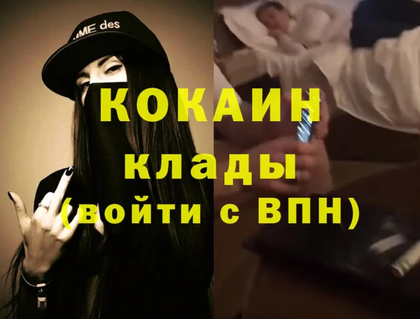 крисы Новодвинск