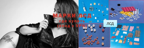 PSILOCYBIN Нея