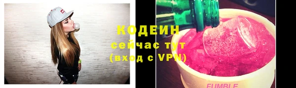 крисы Новодвинск