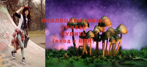 PSILOCYBIN Нея