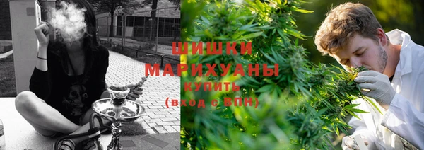 PSILOCYBIN Нея