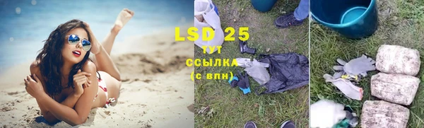ГАЛЛЮЦИНОГЕННЫЕ ГРИБЫ Нефтегорск
